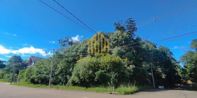 Imóvel 104