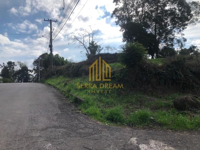 Imóvel 339