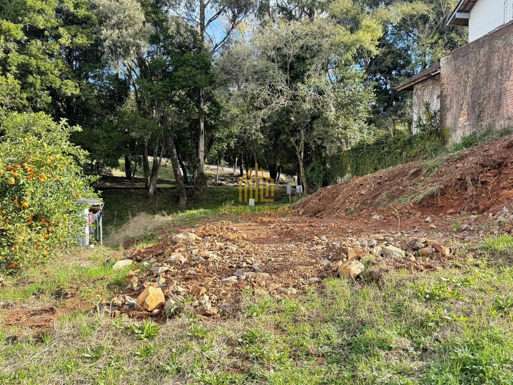 Imóvel 461